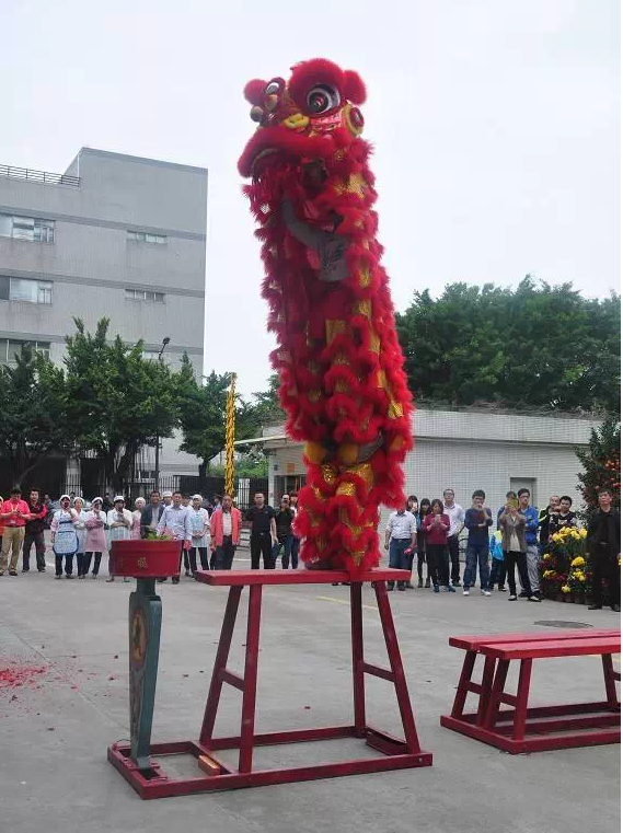 抖圈(中国区)人生就是搏!