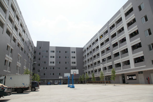 抖圈(中国区)人生就是搏!